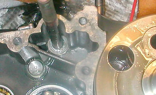 DSCN3591 DSCN3591