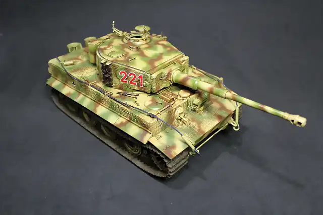 TIGER 14