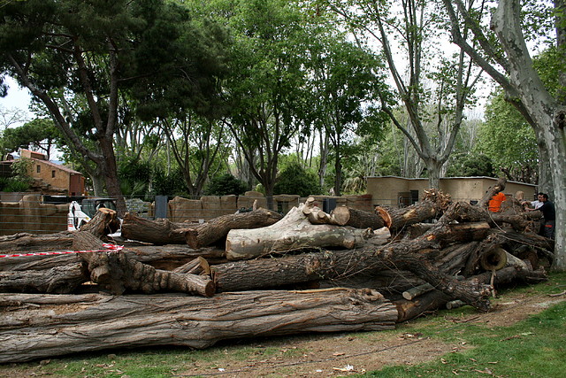 Zoo de Barcelona 14-04-11 229 Zoo de Barcelona 14-04-11 229