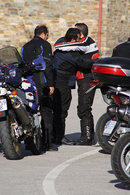 IMG_3559 IMG_3559