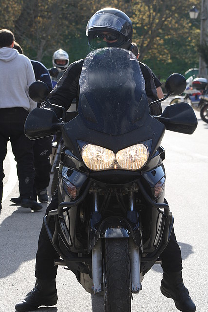 IMG_3584 IMG_3584