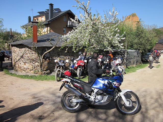 IMG_0850 IMG_0850