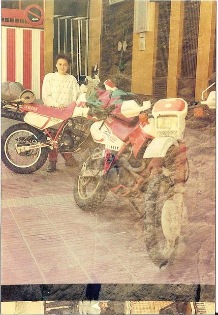 querida xt querida xt