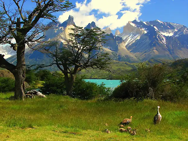 torres del paine