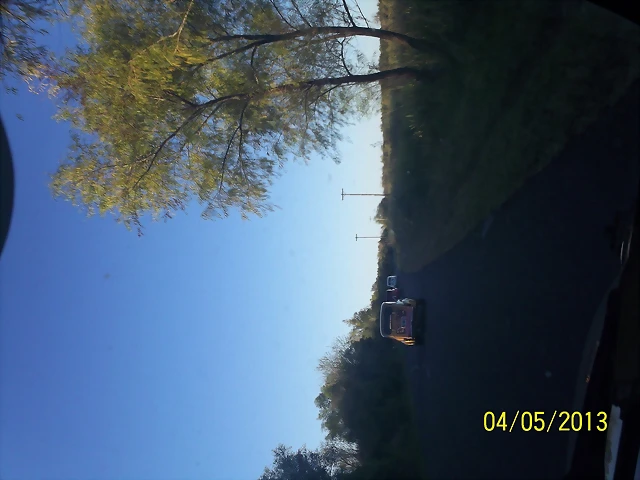 100_5296 100_5296