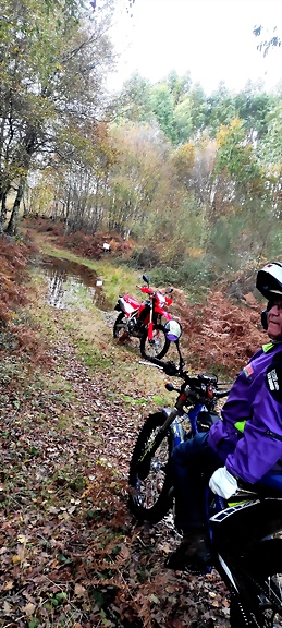 IMG_20231112_173041 IMG_20231112_173041