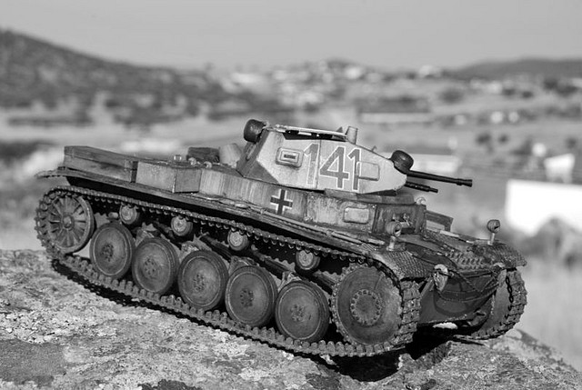 pzkpfw II 048