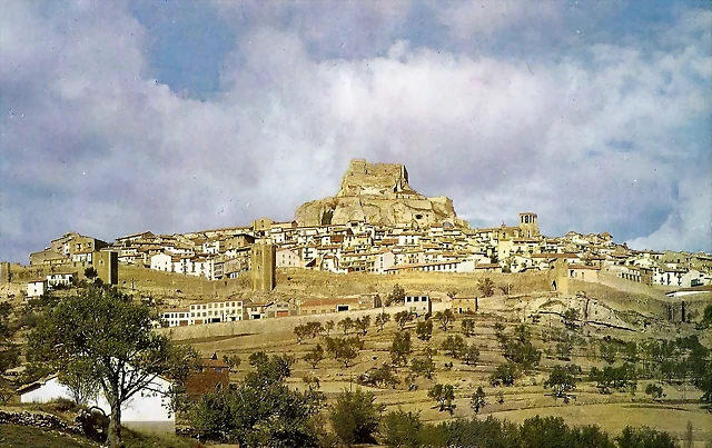 Morella