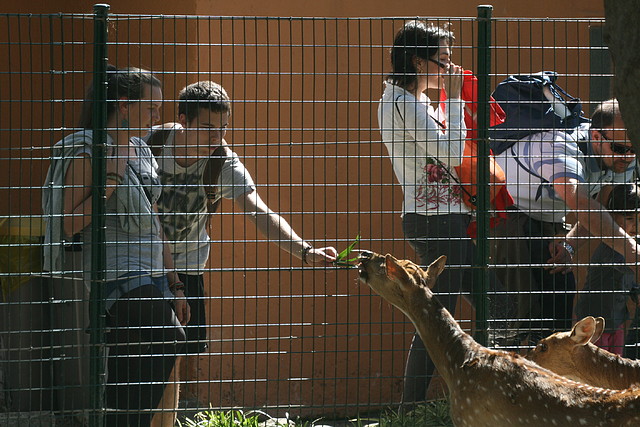 Zoo de Barcelona 03-04-11 560 Zoo de Barcelona 03-04-11 560