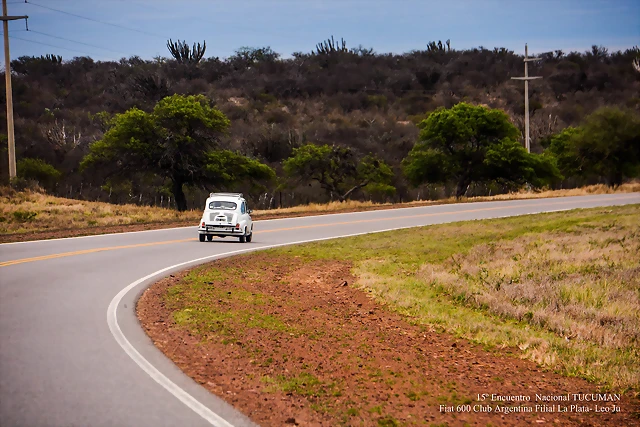 DSC_0549 DSC_0549