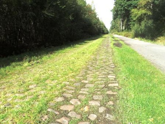 arenberg 1