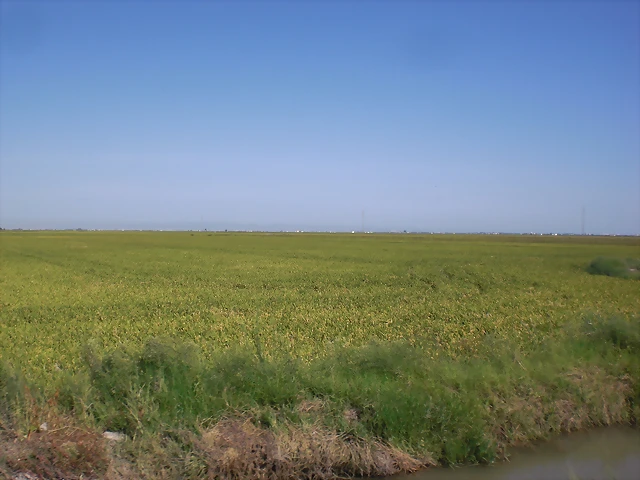 CIMG0772