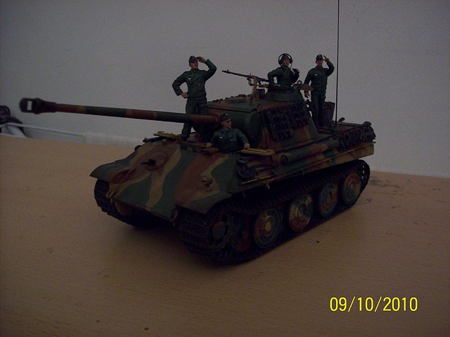 Panther G 08-08 024