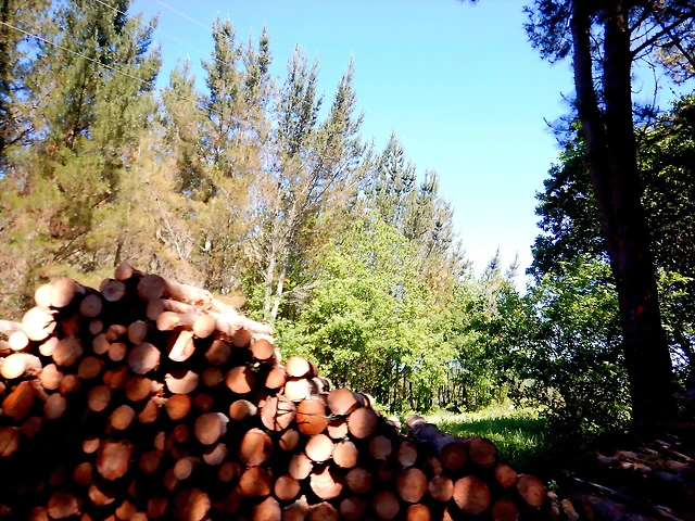 DSCN2302 DSCN2302