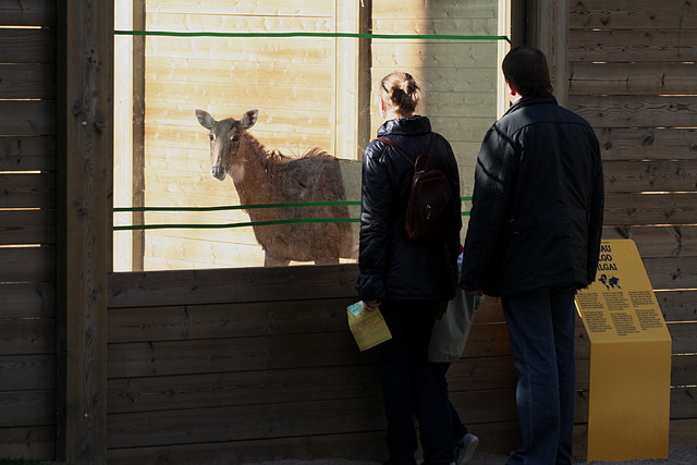 Zoo de Barcelona 23-03-11 745 Zoo de Barcelona 23-03-11 745