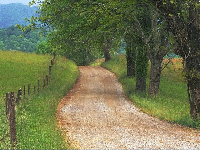 country_road_through_cades_cove