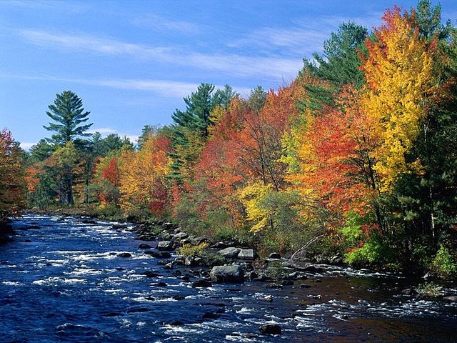 Colors of New England