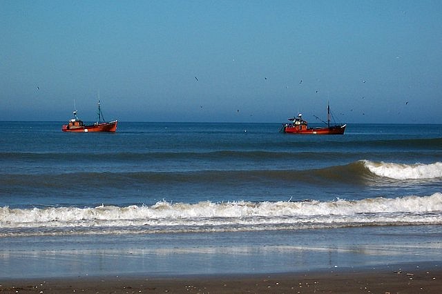 barcos pesca