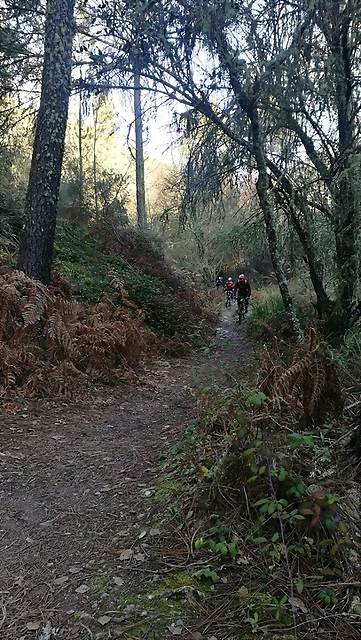 IMG-20170122-WA0017 IMG-20170122-WA0017