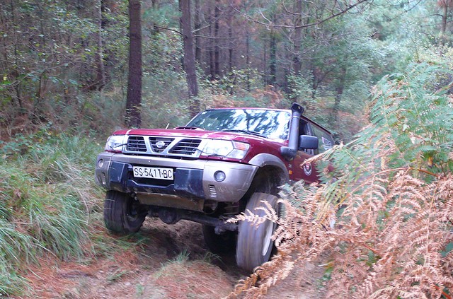 P1100393 P1100393