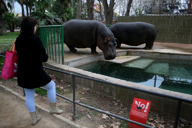Zoo de Barcelona 28-01-11 048 Zoo de Barcelona 28-01-11 048