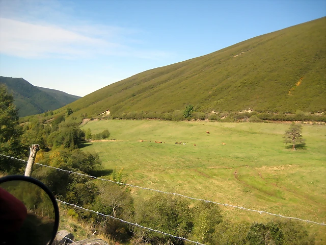 IMG_0461 IMG_0461