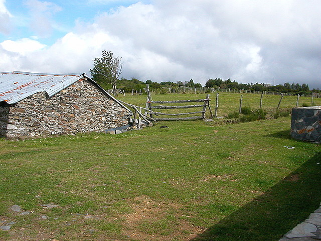 DSCN3268 DSCN3268