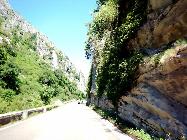 DSCN6955 DSCN6955