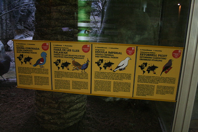 Zoo de Barcelona 31-05-11 505 Zoo de Barcelona 31-05-11 505