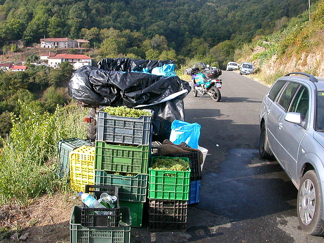 DSCN7481 DSCN7481