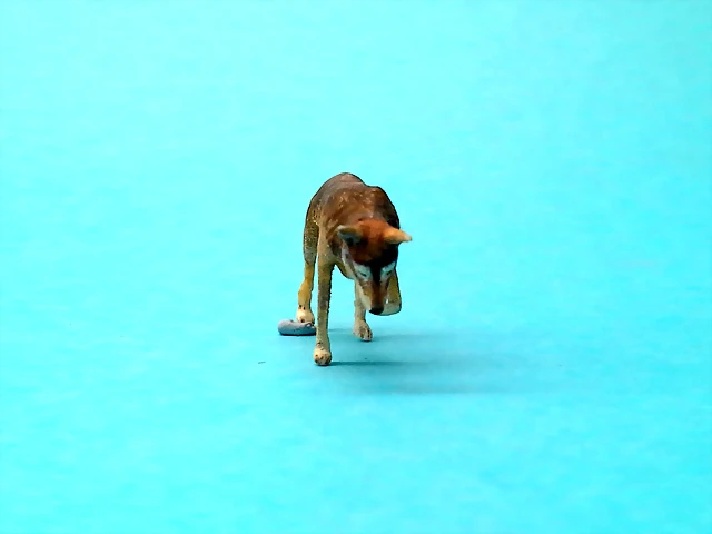 20180507_185323 20180507_185323