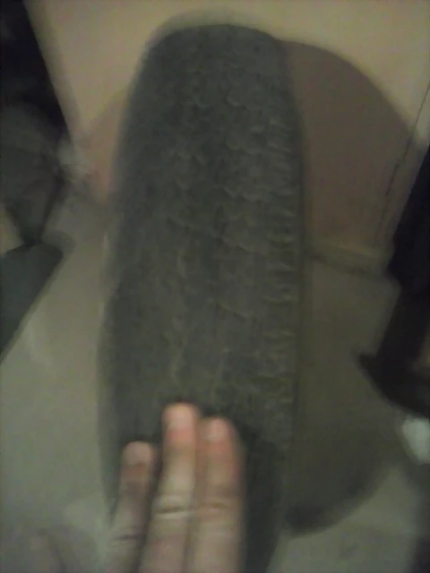 CAM00397