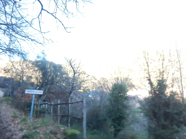 DSCN1693 DSCN1693