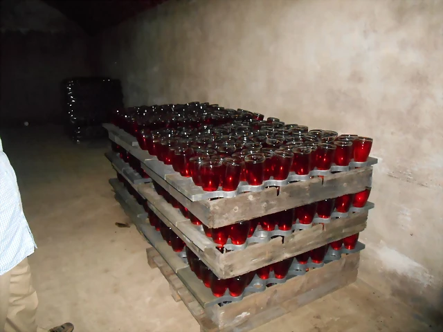DSCN5883