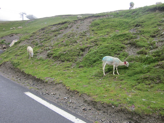 tourmalet 613