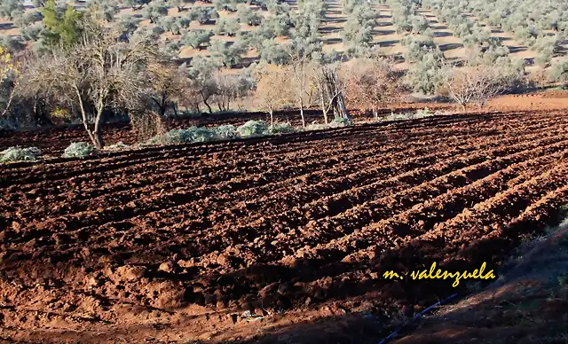 07, la tierra preparada, marca