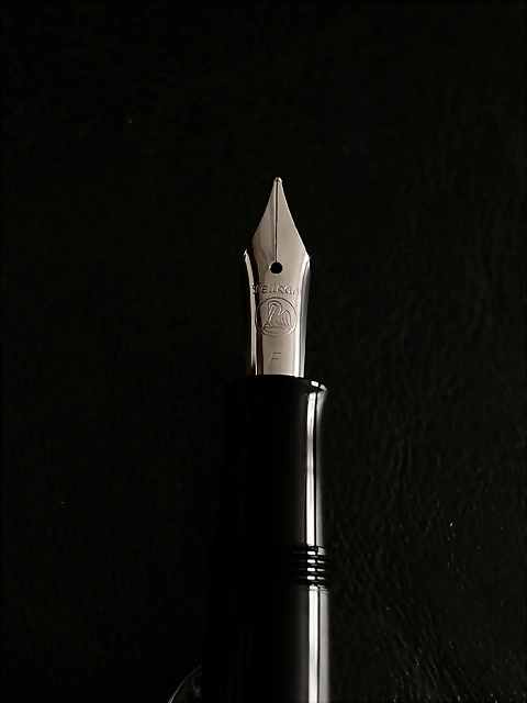 IMG_2950 IMG_2950