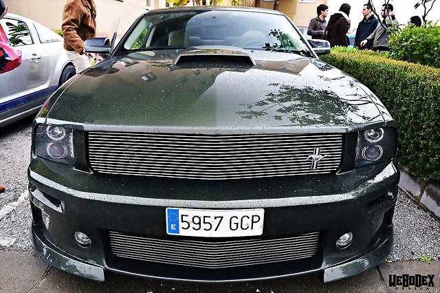 DSC_0664 DSC_0664