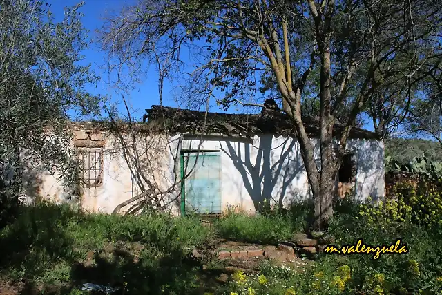 11, cortijo de andrs, marca