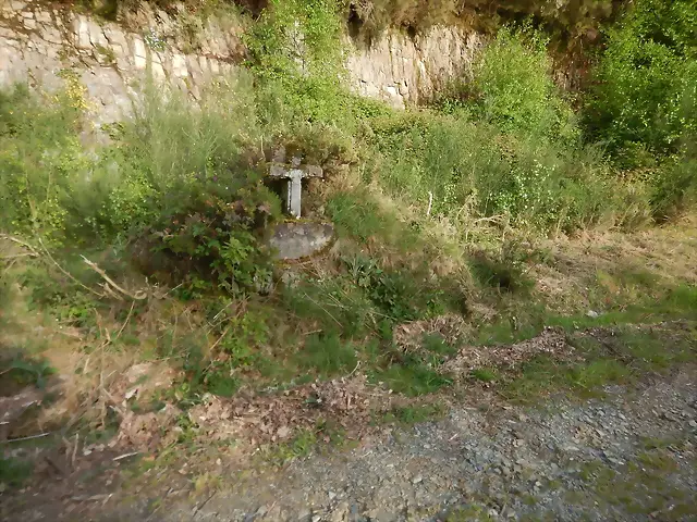 DSCN2103 DSCN2103