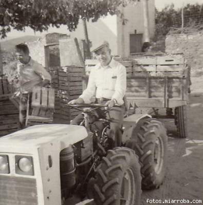 Transportando uva en el tractor Transportando uva en el tractor