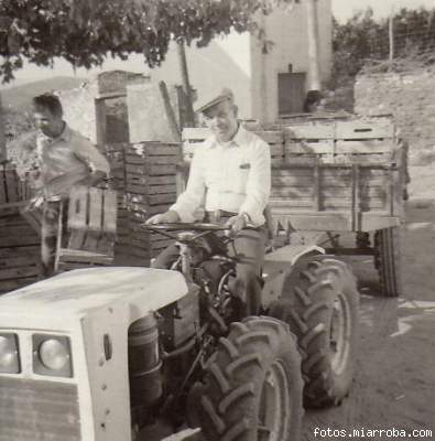 Transportando uva en el tractor