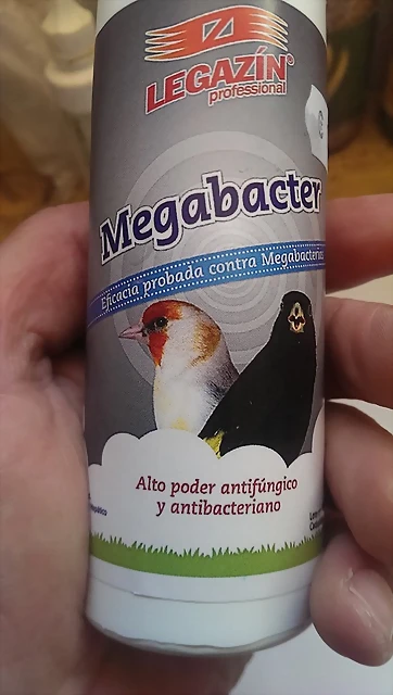 IMAG1739 IMAG1739