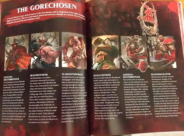 thegorechosen