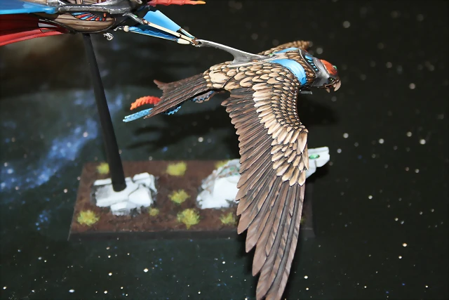 IMG_3373 IMG_3373