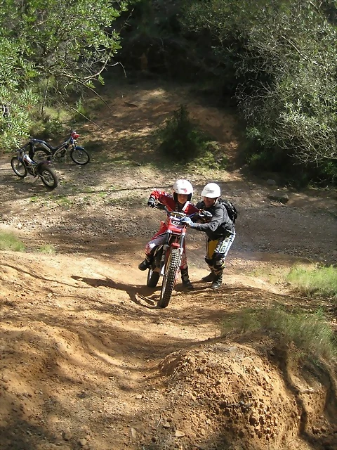 Trial015 Trial015