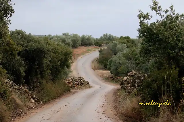 03, llano del cura, marca