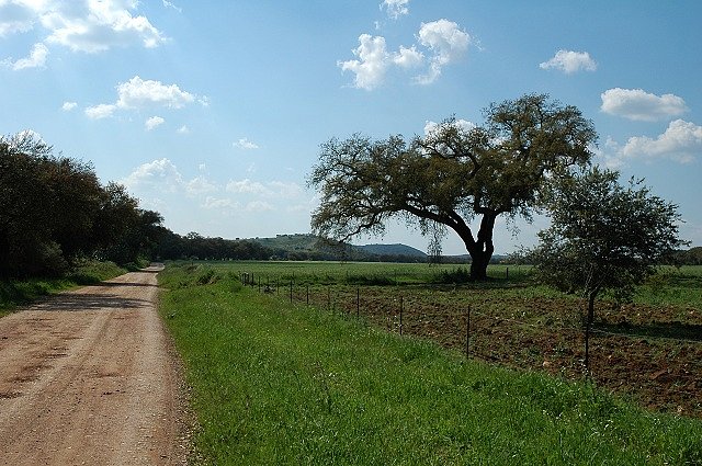 Sierra Hornachuelos, Paraje