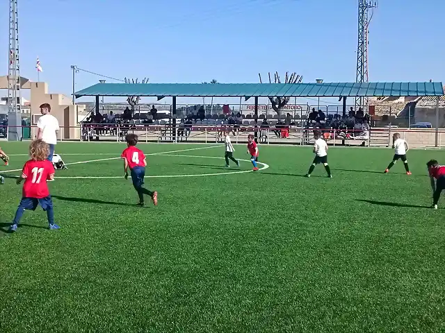 BASESEDMMULA25-1 BASESEDMMULA25-1
