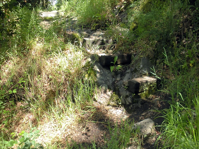 DSCN2844 DSCN2844